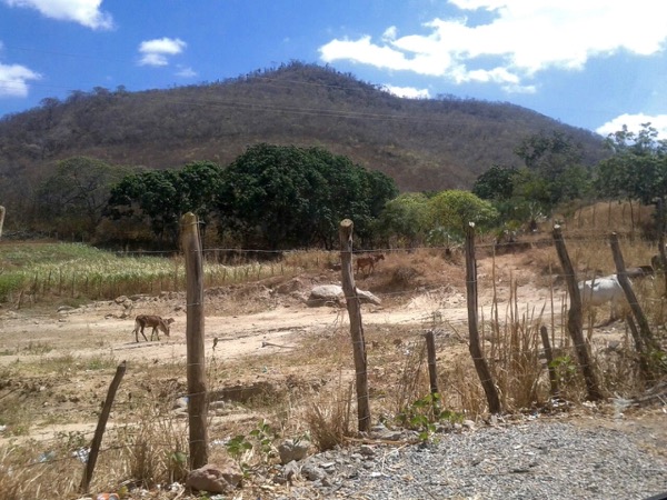 Drought in Northeast Brazil