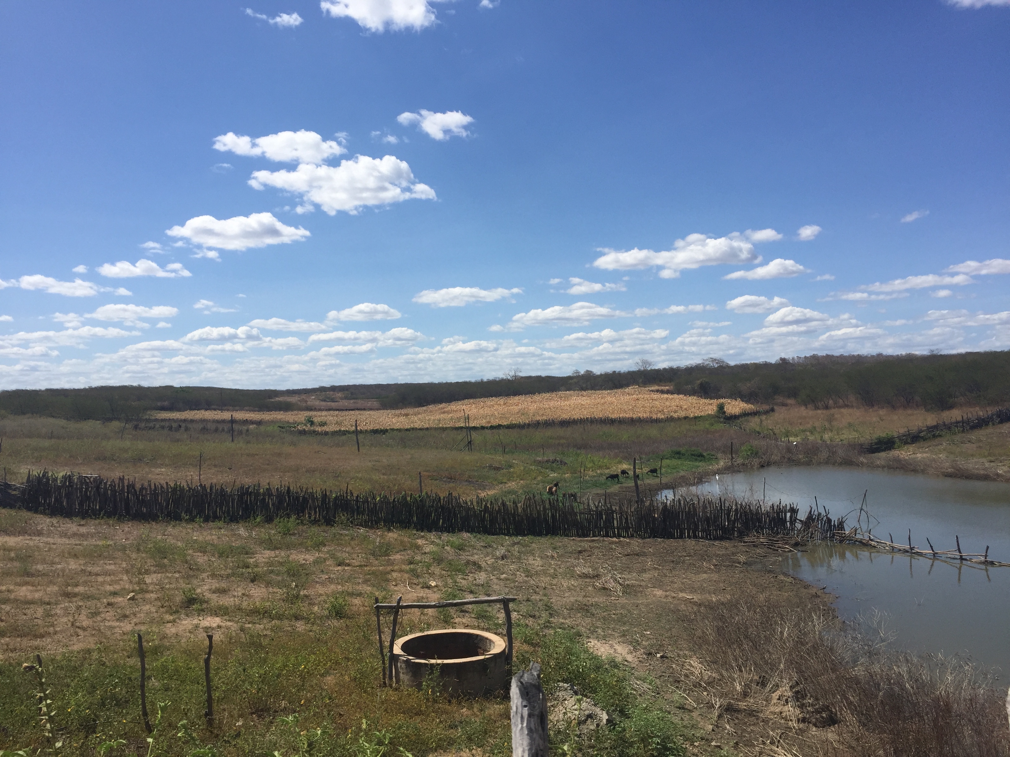 Water security and common pool resource management